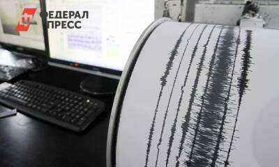 В Туве сейсмологи зафиксировали мощное землетрясение