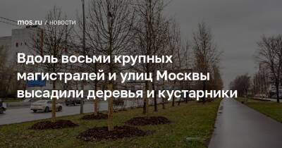 Вдоль восьми крупных магистралей и улиц Москвы высадили деревья и кустарники