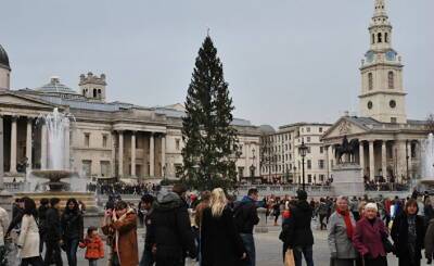 Twitter: в Лондоне смеются над подаренной Норвегией елкой