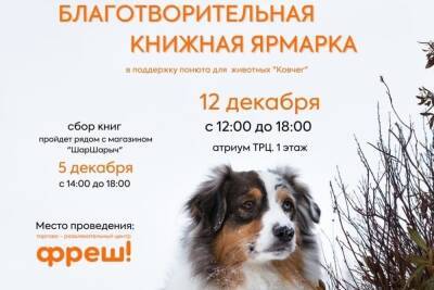 В Ярославле пройдет ярмарка в помощь бездомным животным