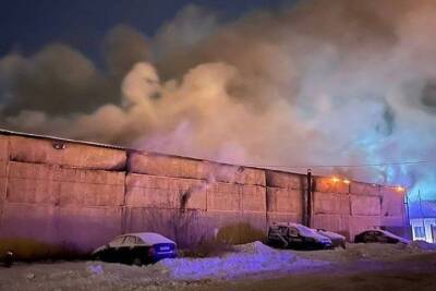 Три грузовых автомобиля пострадали в пожаре в Пушкинском районе