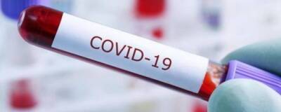 За прошедшие сутки в Удмуртии зафиксировано 207 новых случаев коронавируса