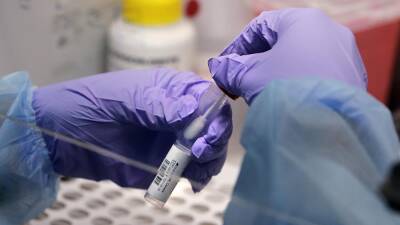 Штамм коронавируса "омикрон" уже скоро будет доминировать в Европе
