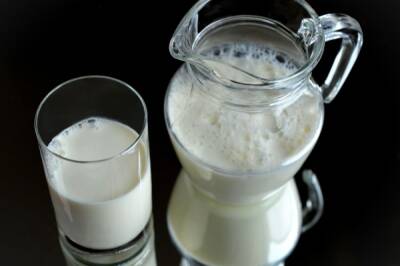 Маркированная молочная продукция поступила в торговые сети по всей РФ