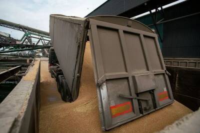 Главными покупателями российского зерна стали Турция, Египет, Казахстан, Латвия