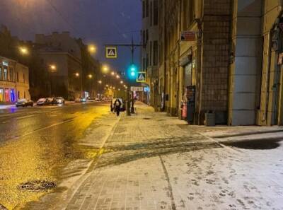 Участники флешмоба «Уехал в Комарово» призывают чиновников Смольного убирать снег