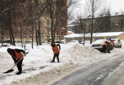 Петербуржцам рассказали, куда жаловаться на снег во дворах