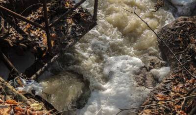 Содержание ядовитого фенола в реке Суре превысило норму в 198 раз