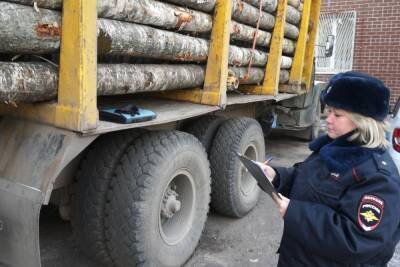 Брянские полицейские предотвратили 126 экологических правонарушений