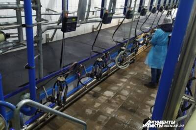 Власти выделят регионам 609 млн рублей на молочные фермы и овощехранилища