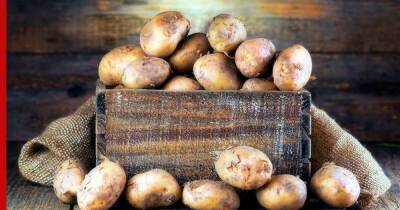 Храним картошку правильно: как уберечь урожай от гнили и мороза