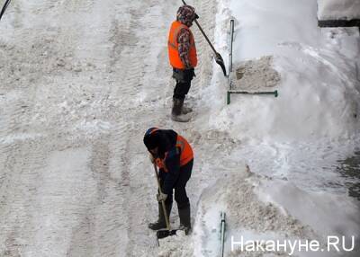 В Москве задержаны 11 дворников, устроивших драку из-за снега