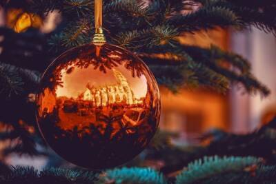 Все городские ёлки в Краснодаре установят до 15 декабря
