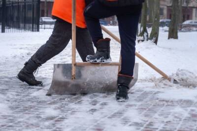 Петербуржцев возмутило, что семь дворников чистили от снега один проход