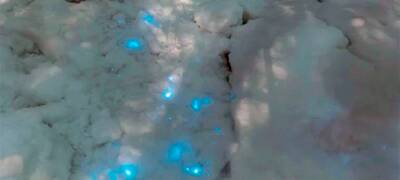 Вселенная под ногами: фотограф на севере Карелии снял снег с живыми огоньками