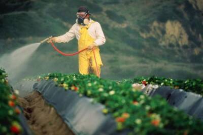 3 декабря - день борьбы с пестицидами - argumenti.ru - Индия