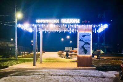 В Мичуринске впервые установят 13-метровую ёлку на набережной