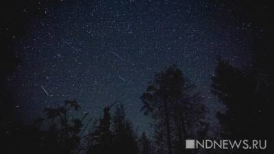 Уральцы смогут наблюдать комету Леонарда в первой половине декабря (ФОТО)