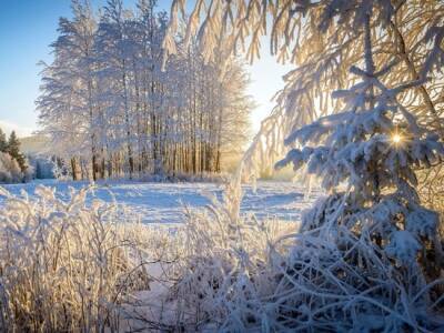 4 и 5 декабря станут последними теплыми выходными в Новосибирской области