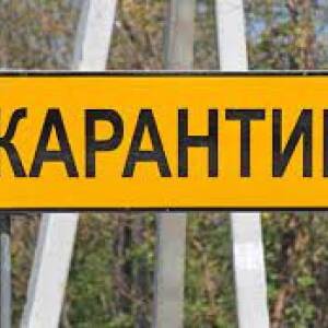 На территории двух общин в Запорожском районе ввели карантин: причина