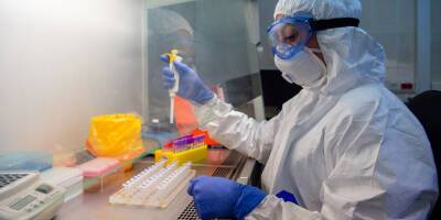 Китайские ученые нашли антитело, уничтожающее все штаммы Covid-19