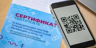 Белгородские власти могут продлить режим QR-кодов после 6 декабря