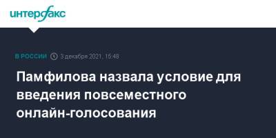 Памфилова назвала условие для введения повсеместного онлайн-голосования