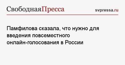 Памфилова сказала, что нужно для введения повсеместного онлайн-голосования в России