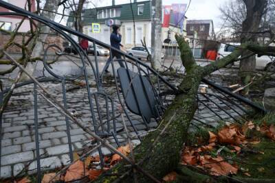 На Ставрополье объявлен режим ЧС для ликвидации последствий штормового ветра