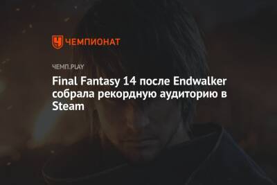 Final Fantasy 14 после Endwalker собрала рекордную аудиторию в Steam