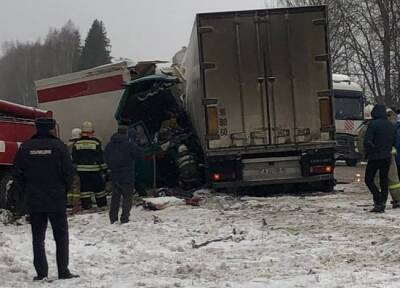 Возбуждено уголовное дело по факту смертельного ДТП в Смоленской области