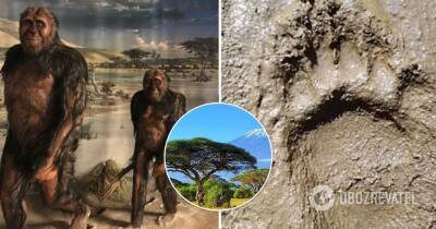 Ученые разгадали тайну следов, оставленных в Танзании 3,7 млн лет назад – фото