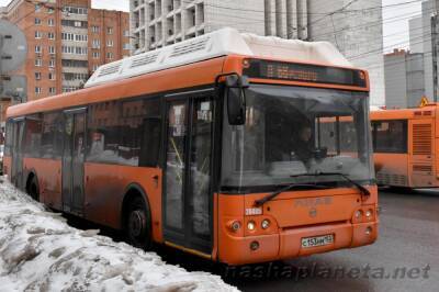 Движение автобусов по улице Циолковского частично восстановят 7 декабря - vgoroden.ru - Нижегородская обл.