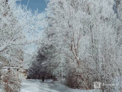 Снежный декабрь ожидается в Нижегородской области