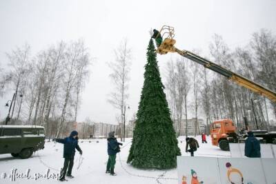 В Смоленске установили первую из новогодних ёлок