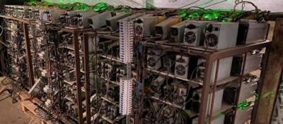 Изъяли оборудования на более 6 млн гривен: под Киевом разоблачили криптоферму (фото)