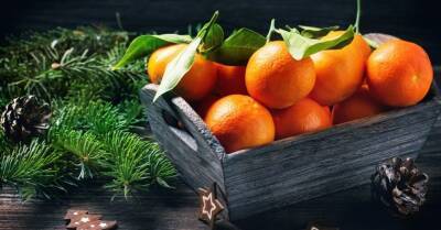 Время мандаринов: чем полезны цитрусовые — рассказывают специалисты