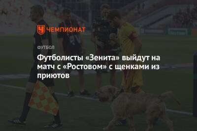 Футболисты «Зенита» выйдут на матч с «Ростовом» с щенками из приютов