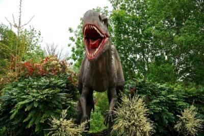 Палеонтологи в Забайкалье впервые отменили раскопки уникальных останков динозавра