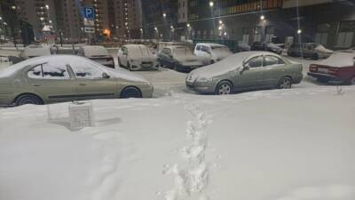 Специалист по ЖКХ Воронков прокомментировал смерть рабочего на снегоплавильной станции