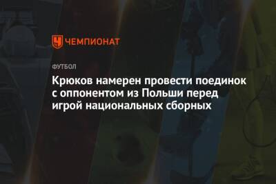 Крюков намерен провести поединок с оппонентом из Польши перед игрой национальных сборных