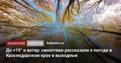 До +19° и ветер: синоптики рассказали о погоде в Краснодарском крае в выходные