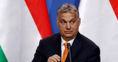 Зеленский первый раз поговорил с Орбаном и пригласил его в Киев