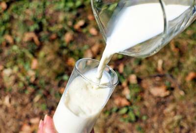Молоко в магазинах Петербурга станет дороже на 6-8%