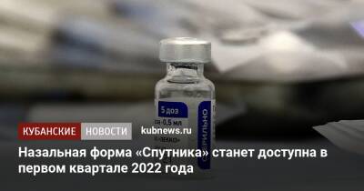 Александр Гинцбург - Назальная форма «Спутника» станет доступна в первом квартале 2022 года - kubnews.ru