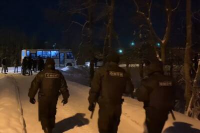 В двух районах Ленобласти в полицию доставили сотни цыган – четверо из них домой не вернулись