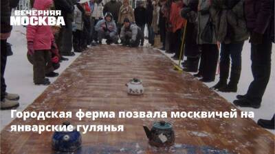Городская ферма позвала москвичей на январские гулянья