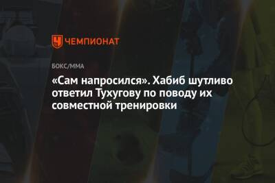 Хабиб Нурмагомедов - Джастин Гэтжи - Зубайра Тухугова - «Сам напросился». Хабиб шутливо ответил Тухугову по поводу их совместной тренировки - championat.com