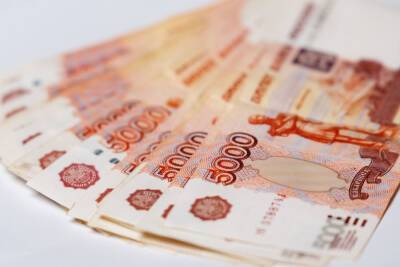 Псковские миллионеры: кто заработал за год больше 3 млн рублей