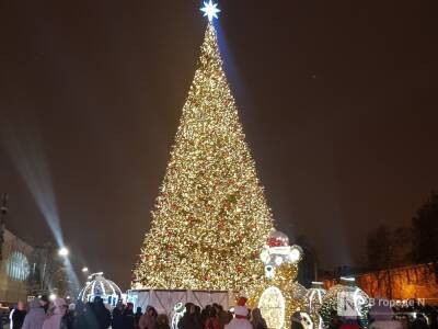 Новогодняя ночь в Нижегородской области будет теплой и снежной